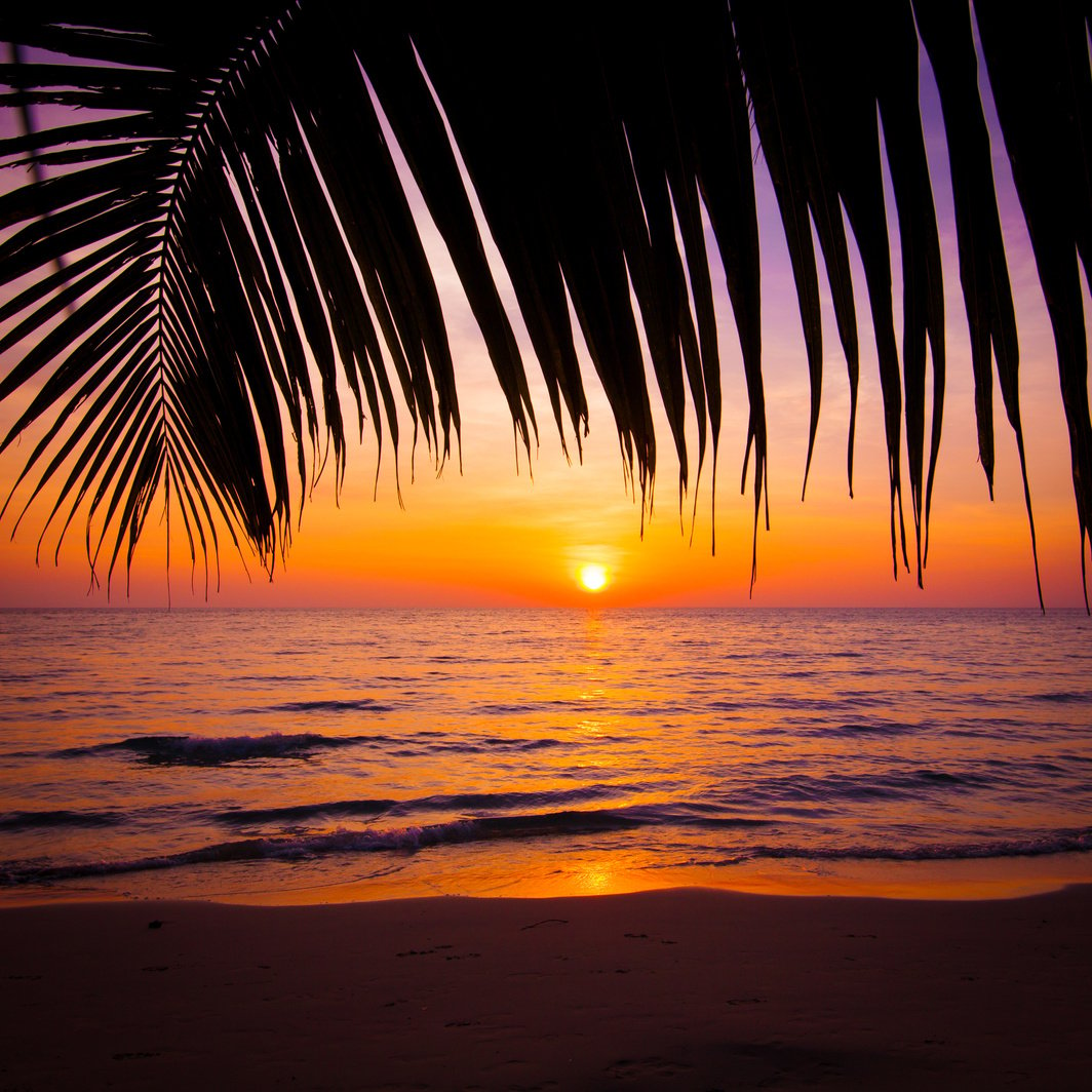 sunset landscape. beach sunset.  sunset on the beach